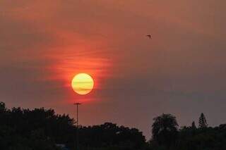 Sol visto da região do Lago do Amor, em Campo Grande (Foto: Henrique Kawaminami)