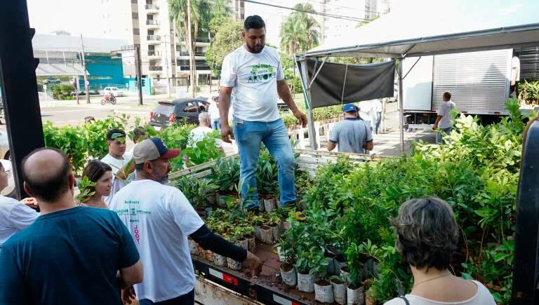 Campo Grande News