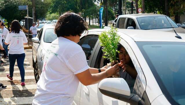 Meio Ambiente - Notícias - Campo Grande News