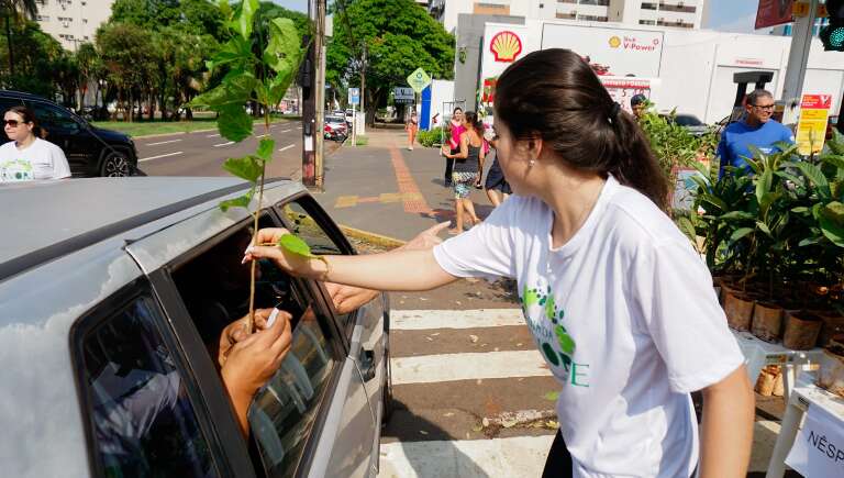 Campo Grande News