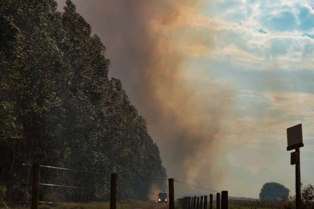 Inverno de 2023 registrou o menor n&uacute;mero de focos de inc&ecirc;ndio da d&eacute;cada 