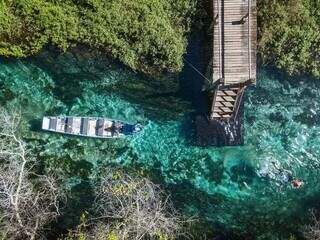 Turistas realizando flutuação em Barra do Sucuri, no município de Bonito (Foto: Reprodução)