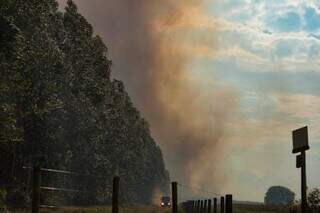Incêndio registrado em Usina no mês de setembro em Campo Grande (Foto: Henrique Kawaminami) 