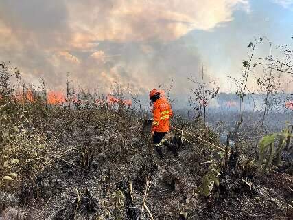 Bombeiros trabalham há dois dias em combate a novo foco de incêndio no Pantanal