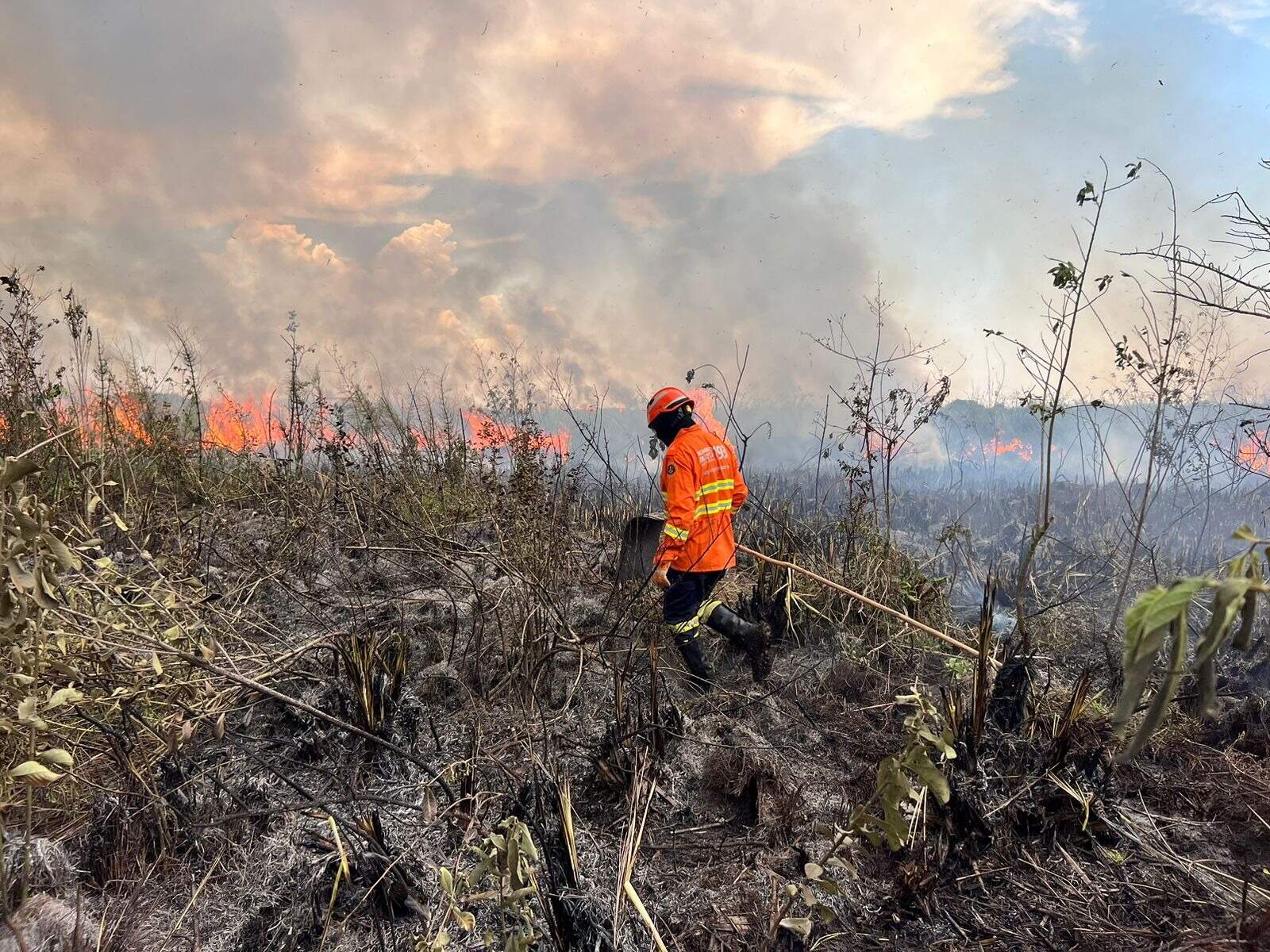 Bombeiros trabalham há dois dias em combate a novo foco de incêndio no Pantanal