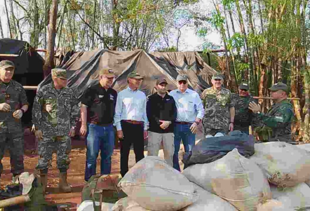 Opera&ccedil;&atilde;o paraguaia destr&oacute;i 220 toneladas de maconha na fronteira