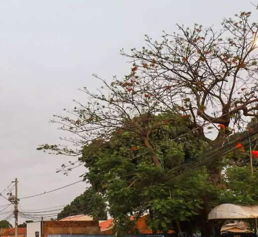 Mudan&ccedil;a no tempo ser&aacute; no fim de semana, com temperatura amena e chuva de granizo