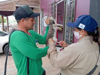 Moradores colaboram e vacinam pets em área ‘isolada’ por contaminação da raiva