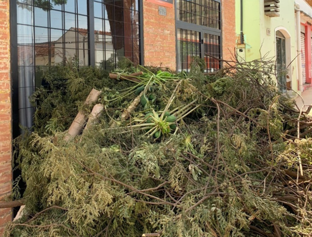 Poda de &aacute;rvores ganha nova utilidade ao ser transformada em adubo org&acirc;nico