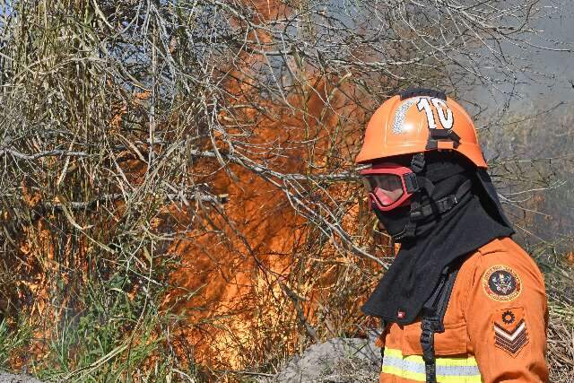 &Aacute;rea queimada no Cerrado cai pela metade, mas outubro pode ter mais focos em MS