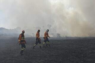 Mais brigadistas atuam contra o fogo em MS em comparação ao ano passado (Foto: Bruno Rezende/Governo de MS)