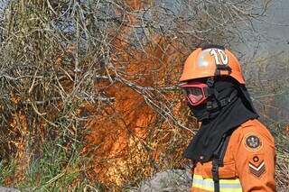 Combate ao fogo no Parque Estadual das Várzeas do Ivinhema (Foto: Bruno Rezende/Governo de MS)