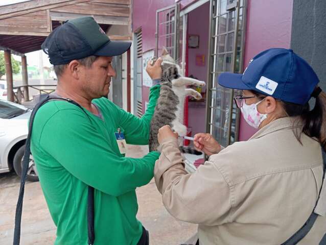 Moradores colaboram e vacinam pets em &aacute;rea &lsquo;isolada&rsquo; por contamina&ccedil;&atilde;o da raiva