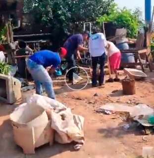 Após mortes por ataques de escorpiões, município tem mutirão de limpeza