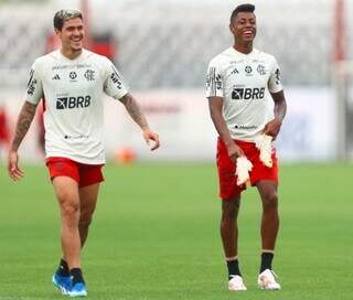 Pedro e Bruno Henrique devem formar dupla de ataque do Flamengo (Foto: Gilvan de Souza /CRF)