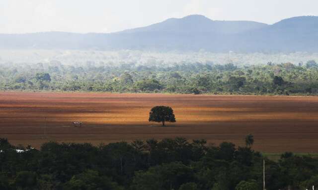 Alertas de desmatamento no Cerrado sobem 149% em setembro e atingem recorde