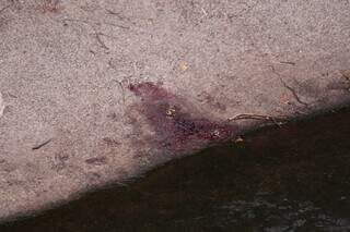 Vítima sangrou bastante, segundo o Corpo de Bombeiros (Foto: Marcos Maluf)