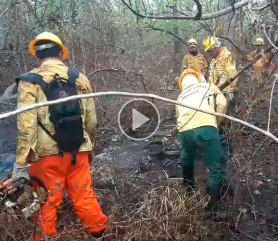 Ap&oacute;s controle de inc&ecirc;ndio, brigadistas mant&ecirc;m monitoramento de focos no Pantanal