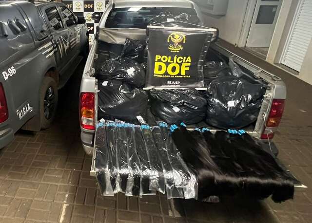 Pol&iacute;cia apreende quase 300 quilos de cabelo humano em camioneta