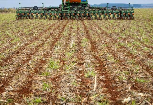 Conab prev&ecirc; 3,9 milh&otilde;es de hectares com &aacute;rea plantada de soja em MS