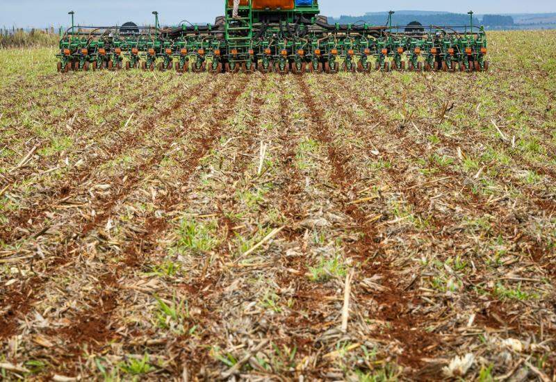 Conab prevê 3,9 milhões de hectares com área plantada de soja em MS