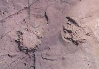 Rastro fossilizado de dinossauros que viveram por aqui (Foto: Jorge Luís Cardoso/Secretário de Turismo de Nioaque)