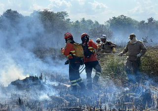 Combate de incêndio com soprador na região do Pantanal sul-mato-grossense (Foto: Divulgação Corpo de Bombeiros)