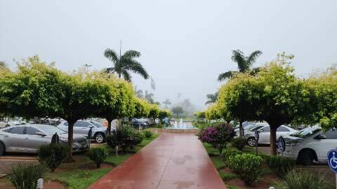 Domingo amanhece garoando e previsão é de mais um dia chuvoso em MS - Meio  Ambiente - Campo Grande News