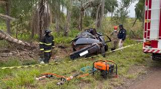 Motorista perde controle da dire&ccedil;&atilde;o e morre ao bater carro em coqueiro