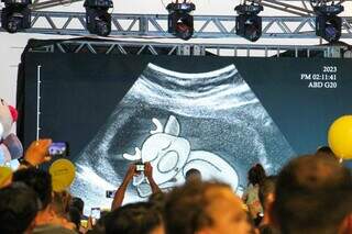Durante evento foi exibida animação com o bebê rena. (Foto: Juliano Almeida)
