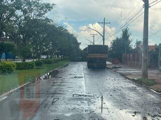 Após tempestade, árvore cai na Avenida Goiás, em Chapadão do Sul (Foto: Corpo de Bombeiros)