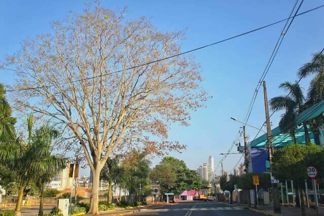 Term&ocirc;metros marca mais de 40&deg;C neste domingo, aponta previs&atilde;o 