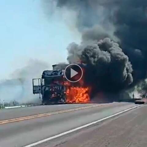 Carreta com carregamento de pluma &eacute; destru&iacute;da por fogo na BR-267 