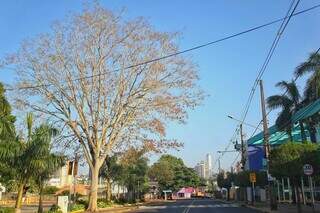 Vista do céu de Campo Grande na manhã deste domingo. (Foto: Paulo Francis)