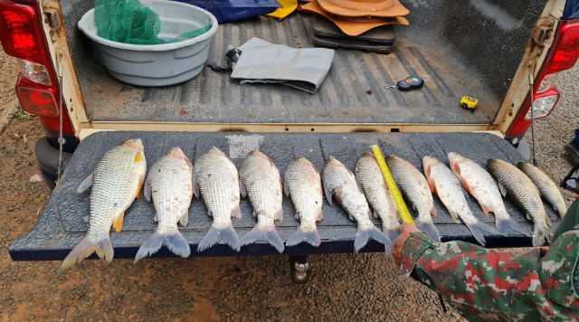 Com 100 policiais, opera&ccedil;&atilde;o aprendeu em 5 dias 26 quilos de pescado 