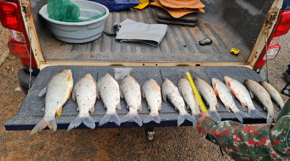 Com 100 policiais, operação aprendeu em 5 dias só 26 quilos de pescado 