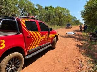 Motociclista atropela anta e morre na estrada da aldeia Lim&atilde;o Verde 