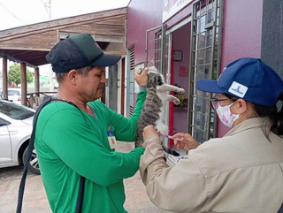 Agentes do CCZ realizam a vacinação contra raiva em um gato. (Foto: Idaicy Solano/Arquivo)