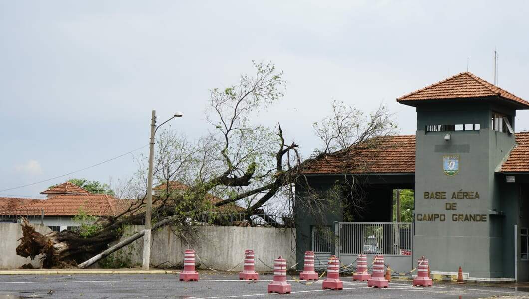 Árvores caem pela cidade e telhado atinge portão de residência após temporal 