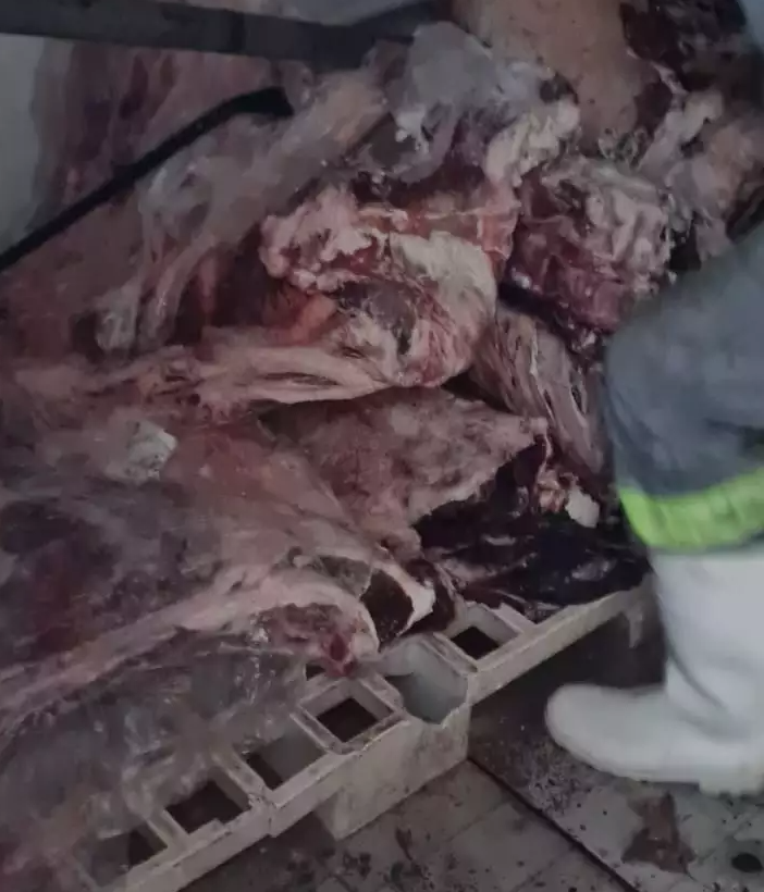 Pela 2ª vez em menos de um mês, açougue é flagrado com carne vencida