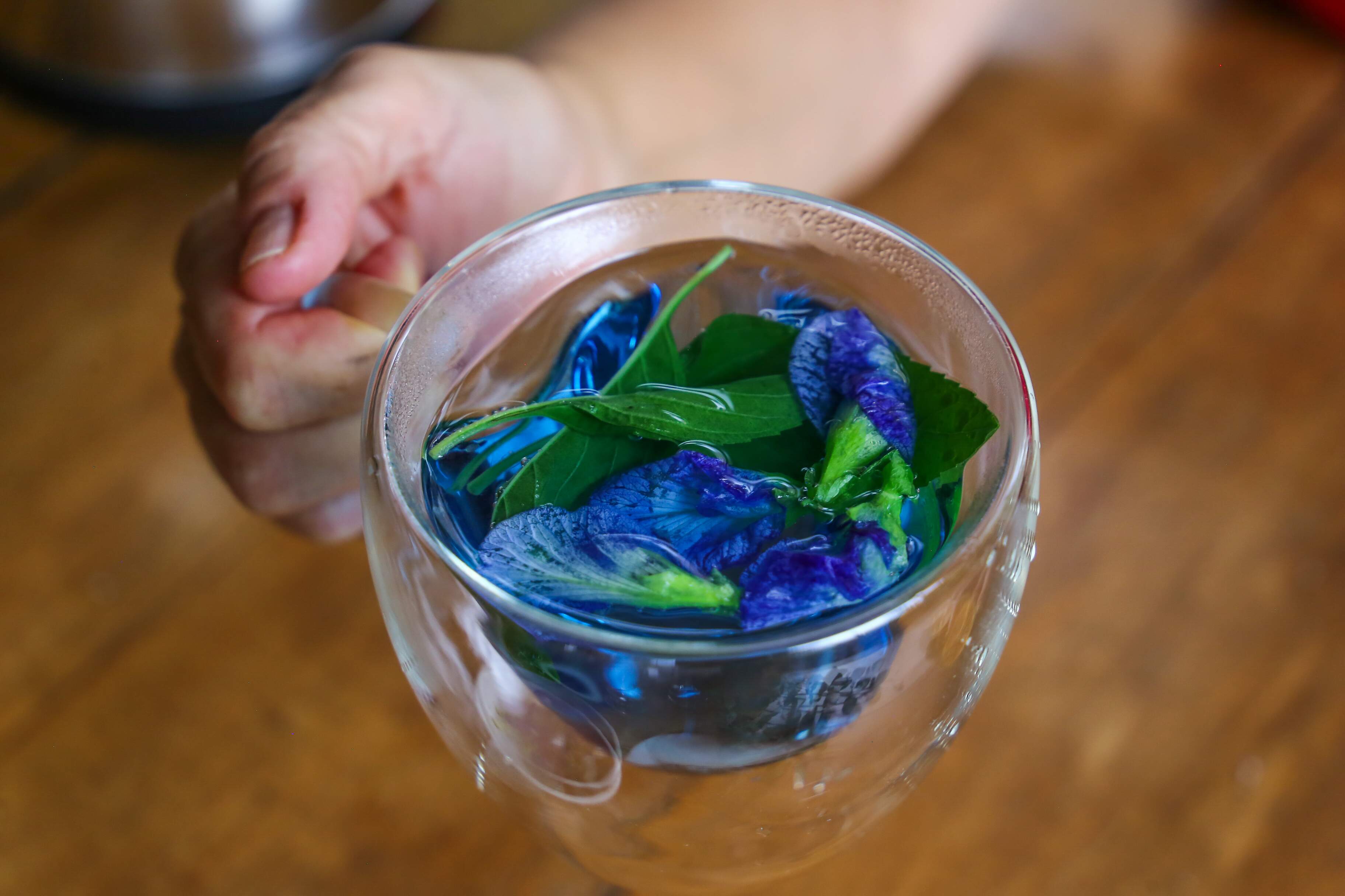 Fácil de fazer, chá 'Fada Azul' é opção para encarar o calorão da cidade