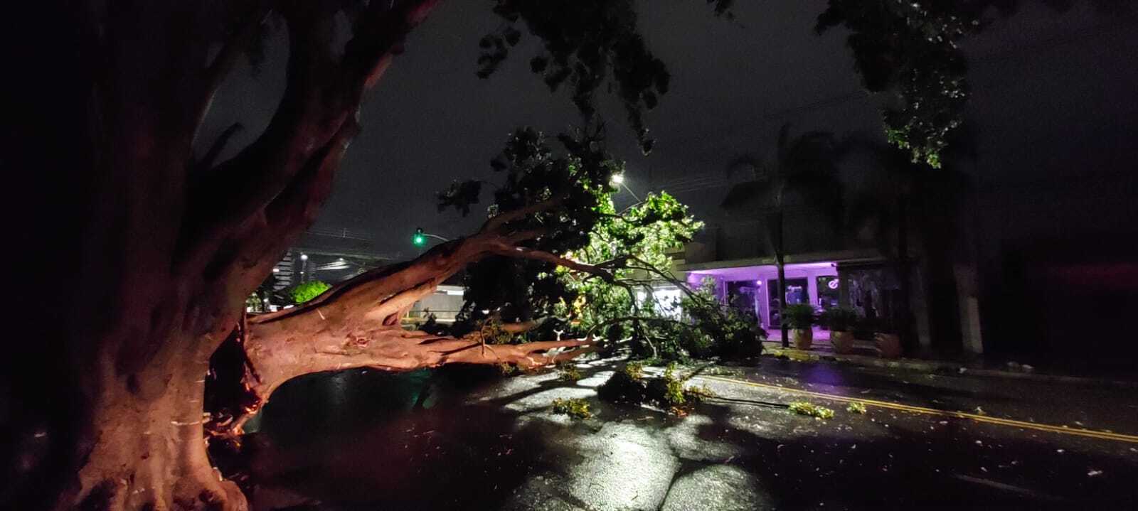 Temporal acompanhado de vento forte causa transtornos em Caxias do