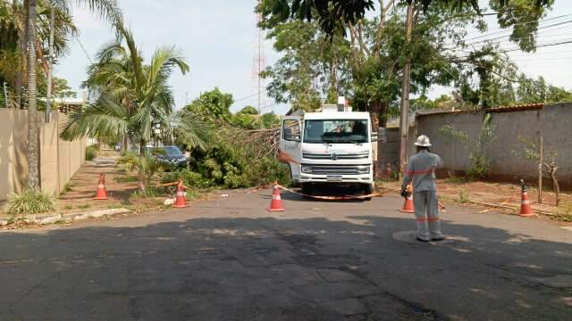 Falta de energia ainda afeta 13 bairros de Campo Grande