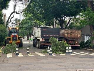 Caminhões recolhem árvore e galhos na Rua 15 de Novembro, no cruzamento com a Rua Rio Grande do Sul (Foto: Lucimar Couto)