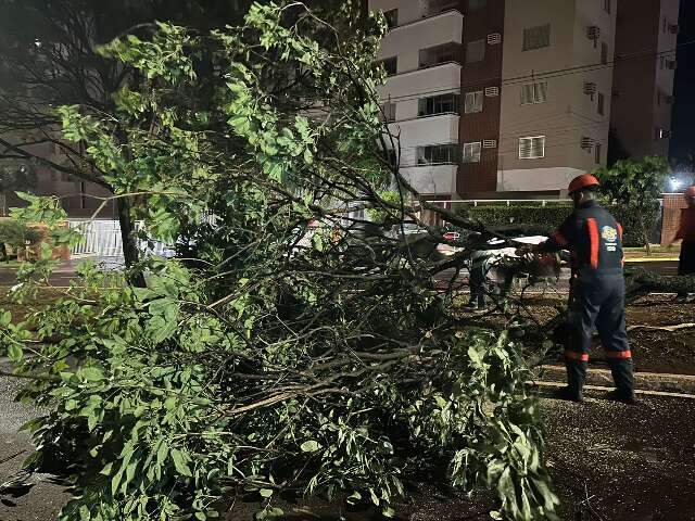 Ap&oacute;s temporal, prefeitura mobiliza equipes para limpeza e mapeamento de estragos