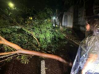 Prefeita observa estragos causados pelo temporal em Campo Grande (Foto: Divulgação)