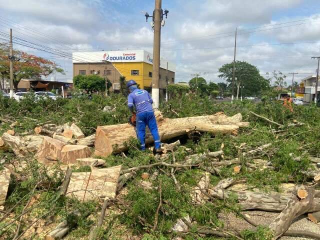 Temporal derrubou &aacute;rvores e afetou fornecimento de energia em 52 bairros