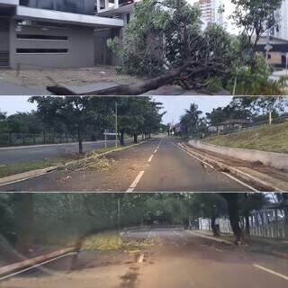 Pontos do Centro com árvores e galhos caídos (Foto: Divulgação/Sisep)