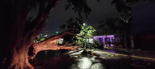 Com ventos de 65 km/h, temporal causa transtornos no Centro