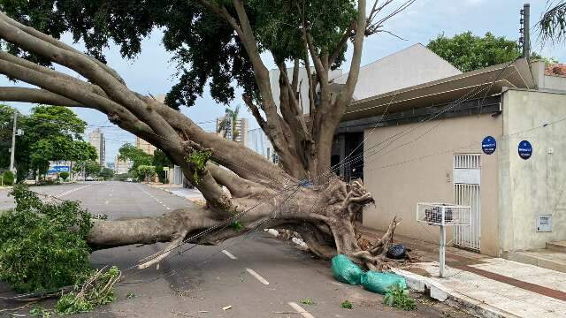 Ventos chegaram aos 95 km por hora e MS tem novo alerta de temporal